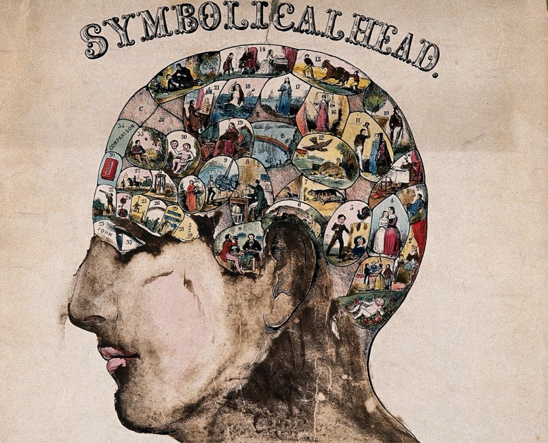 Che cos'è il nuovo lavoro culturale cover