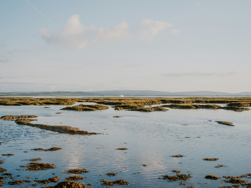 La partecipazione è libertà? cover