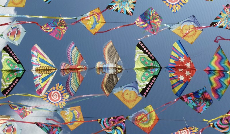 Dalle transizioni alle sfide per l’innovazione trasformativa cover