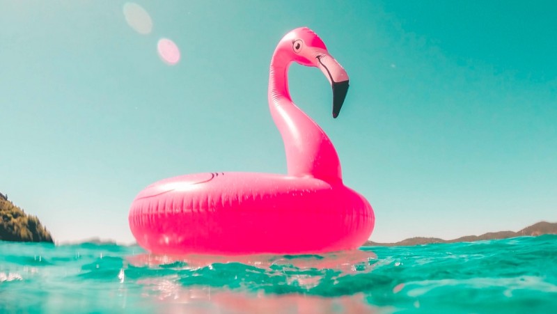 Rosetta. La vita culturale delle città cover