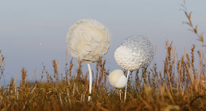 Cadenza d’inganno cover