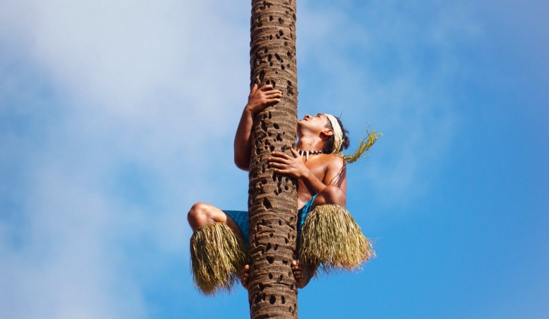 Alessandra Gariboldi: l'innovazione culturale è il nostro rischio necessario cover