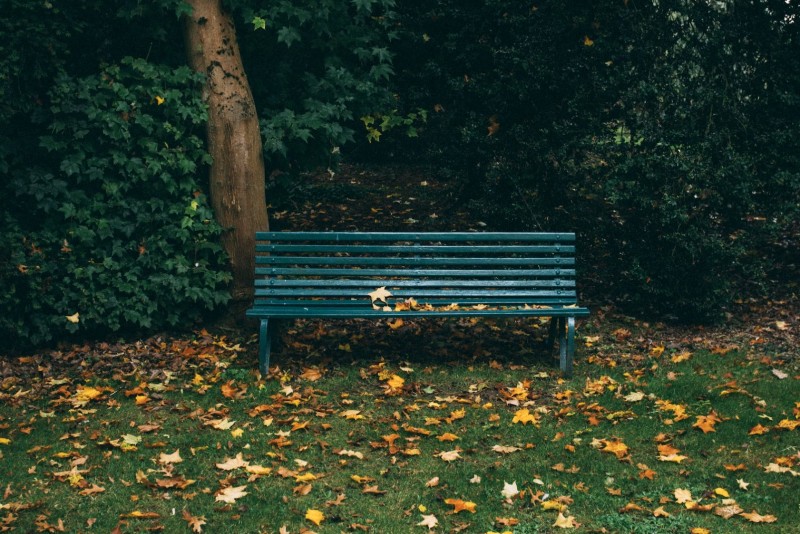 Abitare la prossimità coltivando la cura cover