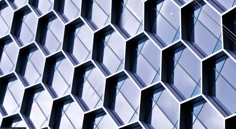 L'ape, l'architetto e il laboratorio cover