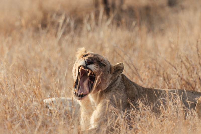 Esplorare gli spazi delle donne cover