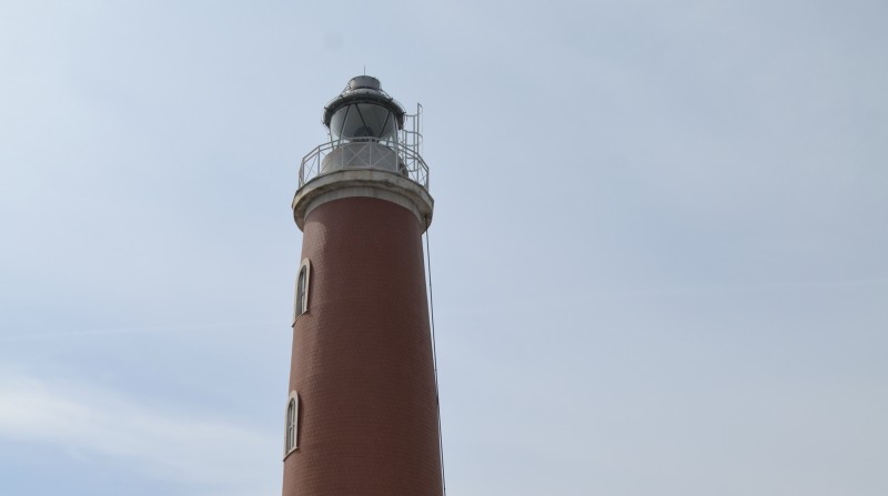 Quali comunità? cover