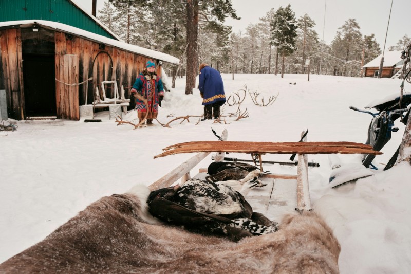 Biologico e risparmio, sostenibilità ambientale e urbana cover