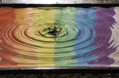 Interconnessione, ossia che diavolo è l'acqua? cover