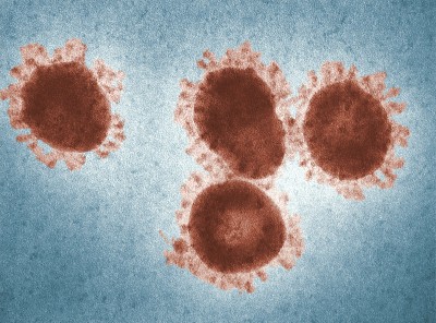 Il Covid-19 non è solo un virus, ma un oggetto culturale e politico cover