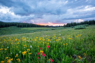 Parco dei Paduli, la dimensione collettiva di un patrimonio cover