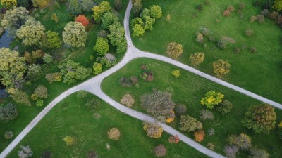 Foreste urbane: attenzione a divario sociale e gentrificazione cover