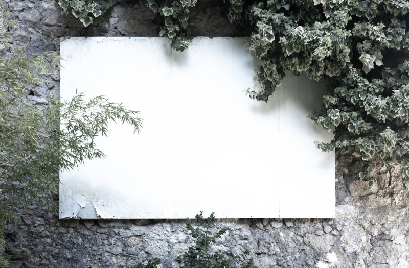 Fare fundraising funziona? L'esempio di FARM cover