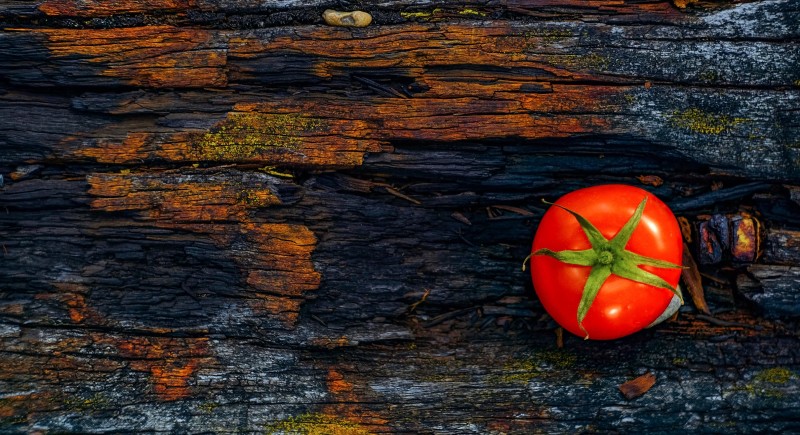 Il made in Italy nel 4.0, il lavoro nell'epoca della sua riproducibiltà tecnica cover